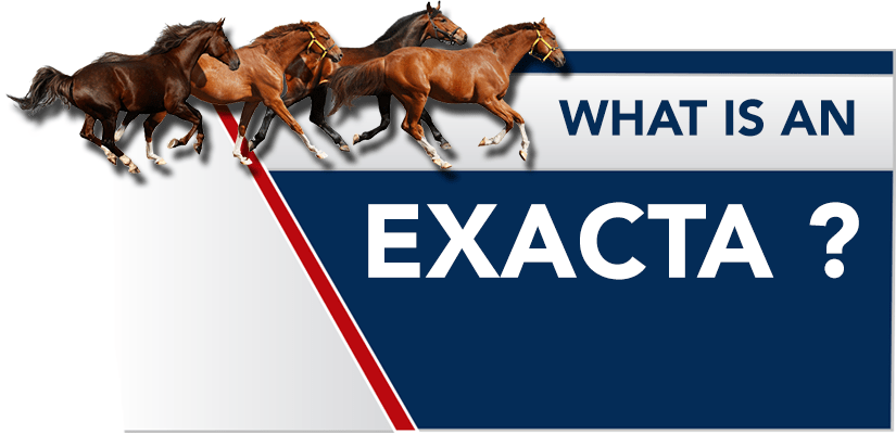 What Is An Exacta In Horse Betting